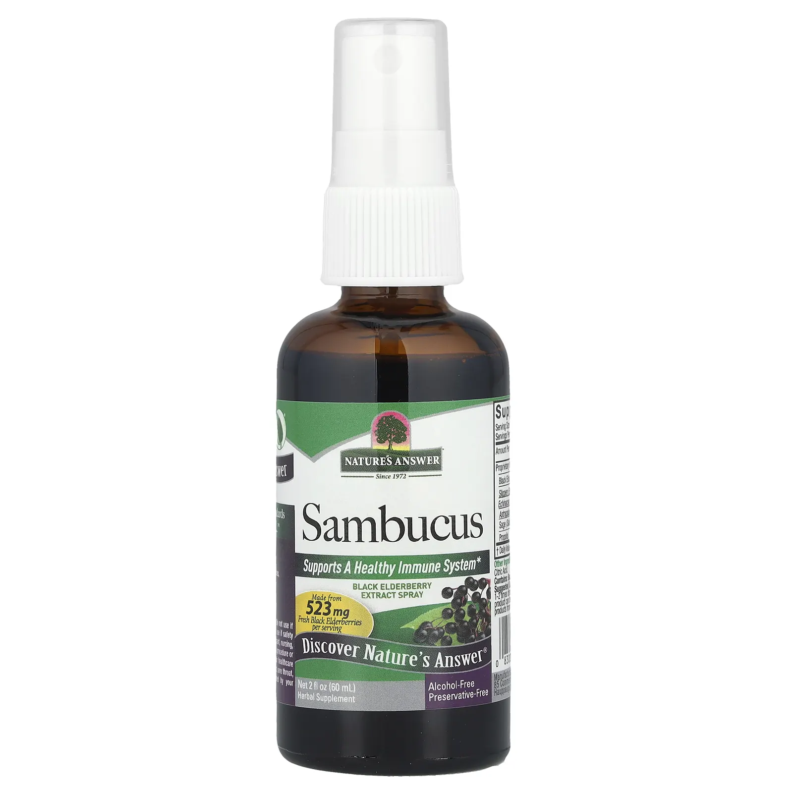 Nature's Answer Sambucus - תרסיס תמצית סמבוק שחור (Elderberry), ללא אלכוהול, 60 מ"ל